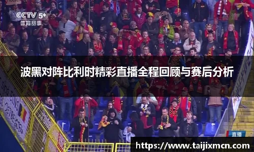 波黑对阵比利时精彩直播全程回顾与赛后分析