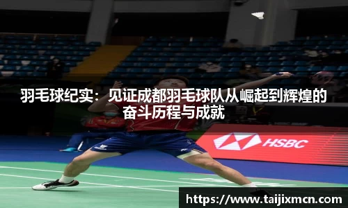 羽毛球纪实：见证成都羽毛球队从崛起到辉煌的奋斗历程与成就